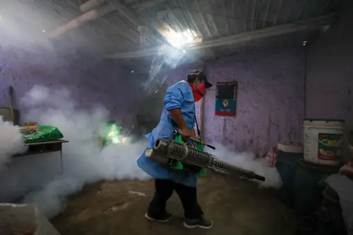 Perú declara la emergencia sanitaria por el repunte de los casos de dengue
