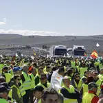Miles de agricultores cortan la A-45 y el acceso a Lucena (Córdoba) por la A-318