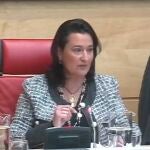 Emma Fernández, Directora General de Economía Social y Autónomos, interviene en una Comisión de las Cortes