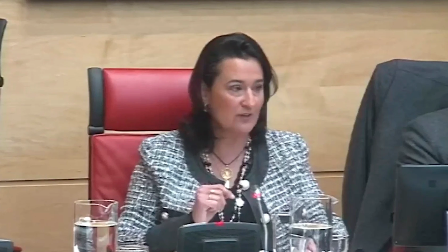 Emma Fernández, Directora General de Economía Social y Autónomos, interviene en una Comisión de las Cortes