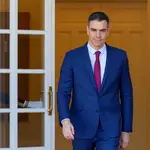 Pedro Sánchez recibe al Cap de Govern del Principat d'Andorra, Xavier Espot Zamora