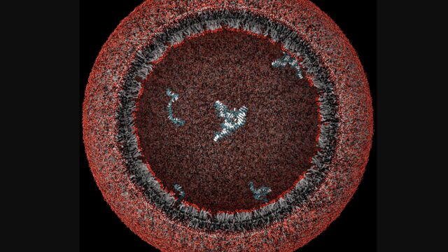 Modelo de protocélula, la "semilla" de la vida