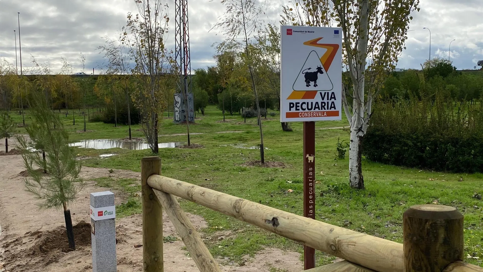 La Comunidad de Madrid y Amazon firman un convenio para plantar más de 16.700 árboles