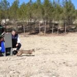 El Gobierno regional libera una hembra de lince ibérico en el área de reintroducción de las Tierras Altas de Lorca