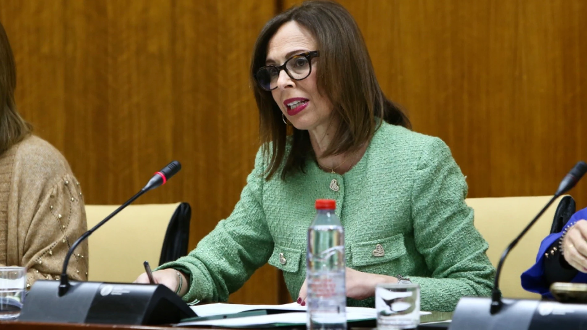 La consejera de Fomento, Rocío Díaz, en comisión parlamentaria. JUNTA DE ANDALUCÍA 01/03/2024