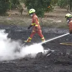 Incendio forestal en Alzira (Valencia)