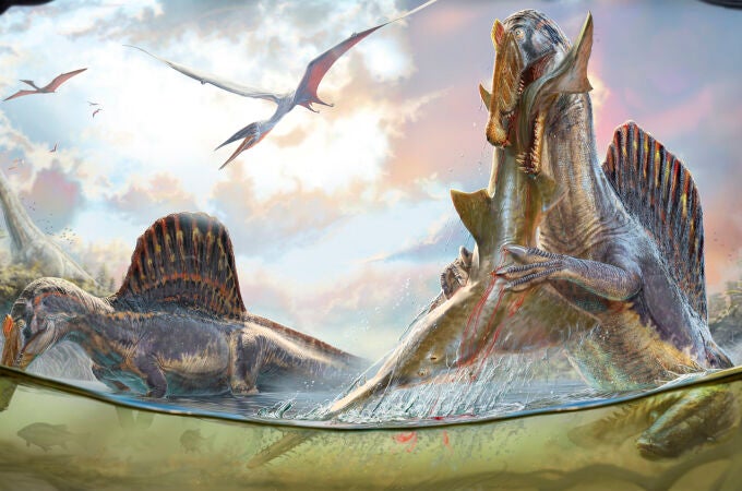 Una pareja de los gigantes depredadores con velas en la espalda, Spinosaurus aegyptiacus, se adentran en aguas cercanas a la costa en busca de presas mientras pterosaurios surcan los cielos hace aproximadamente 95 millones de años en la costa norte de África. 
