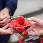 Reparto de fresas por la campaña 'Yo como fresas de Huelva porque son sanas, seguras y sostenibles'