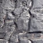 El bosque más antiguo de la Tierra, revelado en fósiles ingleses