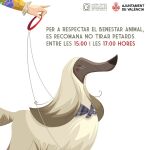 El Ayuntamiento de Valencia pide sensibilidad con las mascotas durante las Fallas