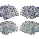 La dirección de las ondas cerebrales en la memoria revelan la importancia de los opuestos.