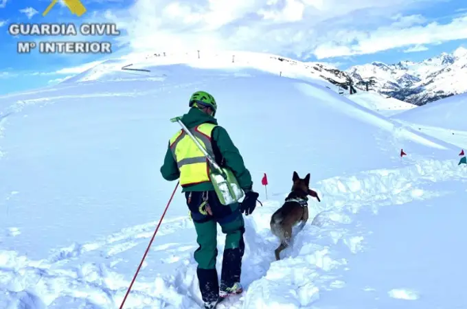 La Guardia Civil realiza un curso de adiestramiento de perros para la búsqueda de personas en la nieve