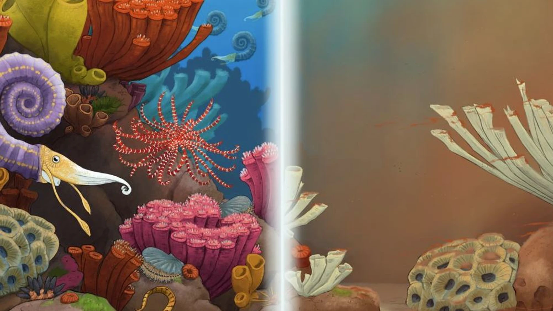 Ilustración de un arrecife con vida junto a otro muerto UNIVERSIDAD DE OXFORD 08/03/2024