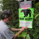 Killing Bears Florida