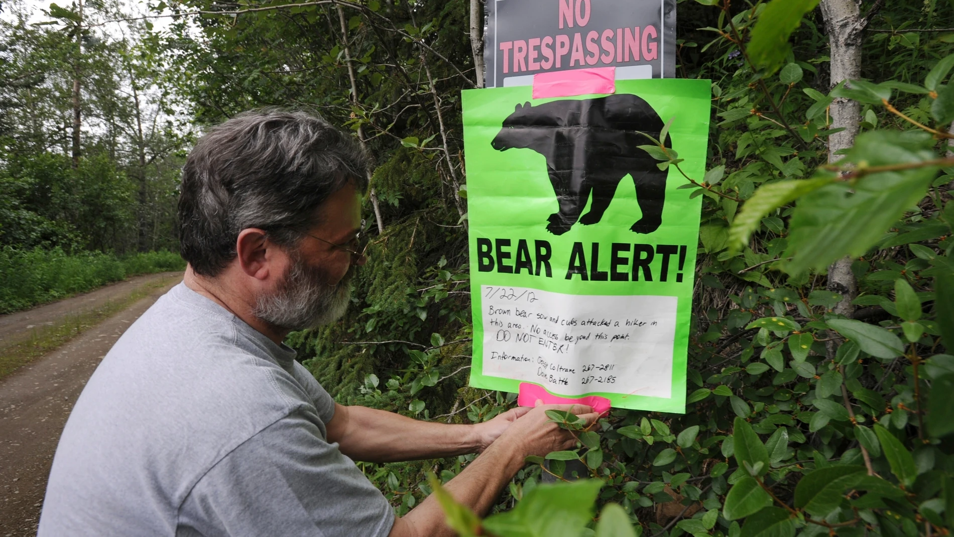 FILE - A property owner posts a bear warning sign on private property near a recent bear attack, July 22, 2012, In Ankorage, Alaska. So long as they don't eat them, stuff them or turn them into hats for the British royal guard, Floridians will be able to kill black bears threatening them on their property with no consequences under a bill sent to Republican Gov. Ron DeSantis on Thursday, March 7, 2024. (AP Photo/Anchorage Daily News, Bill Roth, File)