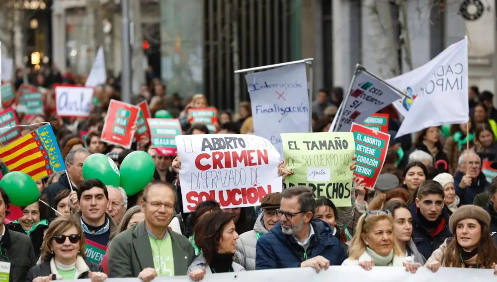 Más de 500 asociaciones han salido a las calles este domingo en Madrid con el lema &quot;Sí a la vida&quot;