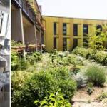El Ayuntamiento de Madrid impulsa el "cohousing senior" en Orcasitas, Ascao y Canillas 