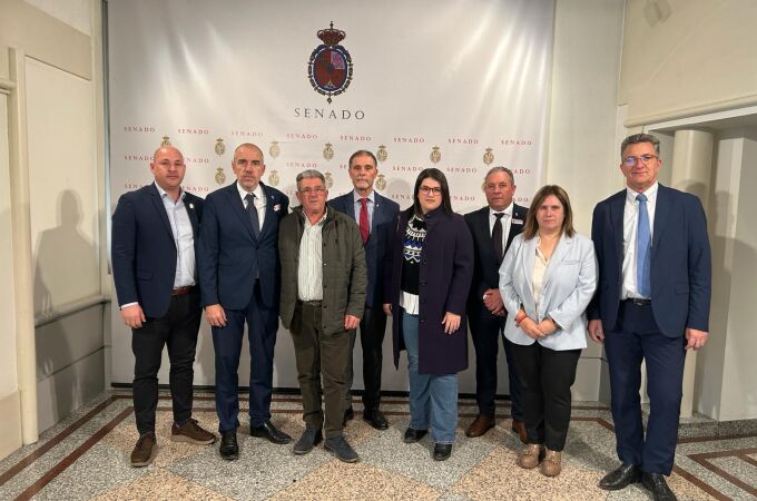 Foto de la delegación del PP de Castellón en el Senado