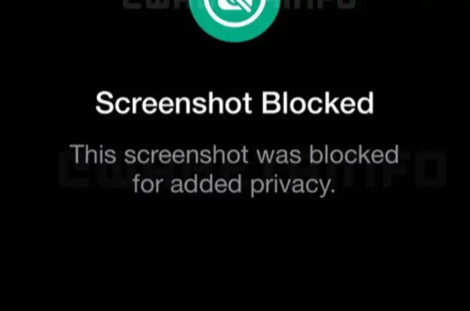 WhatsApp impide la captura de pantalla de fotos de perfil