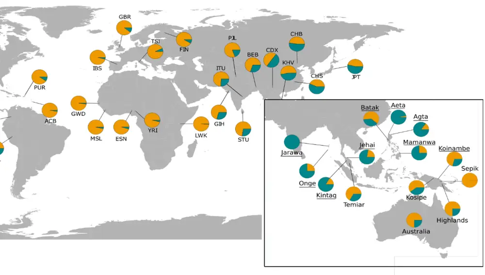 Mapa de la variación genética, más prevalente en el sudeste asiático