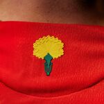 ¿Por qué la camiseta de España para la Eurocopa lleva un clavel?