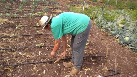 Bruselas eximirá de sanciones y controles ambientales de la PAC a los pequeños agricultores