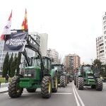 Tractores con banderas de España y Castilla y León pasan junto a la Delegación del Gobierno