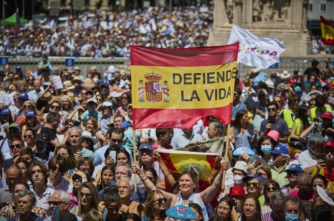 Vista general del de la manifestación en defensa de la Vida y la Verdad en Madrid 