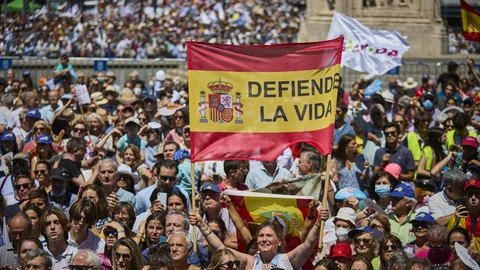 Vista general del de la manifestación en defensa de la Vida y la Verdad en Madrid