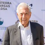 Última hora de Mario Vargas Llosa tras las preocupantes informaciones sobre su estado de salud