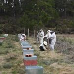 Apicultores aprenden a proteger sus colmenas de los osos en un taller organizado por FAPAS