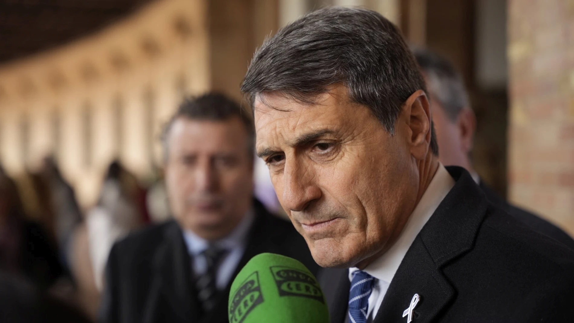 El delegado del Gobierno en Andalucía, Pedro Fernández