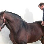 Mario Soriano trabaja con un caballo