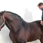 Mario Soriano trabaja con un caballo