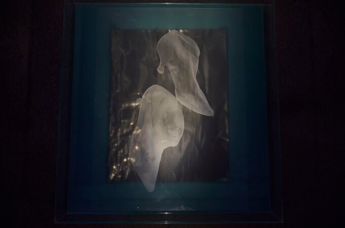 “Lightbodies” exposición individual de Julia Creuheras en la sala de exposiciones Belmonte.