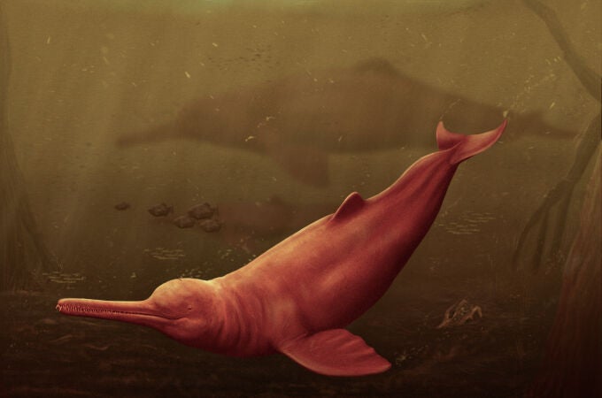 Representación artística de Penabista Yacuruna, el delfín de agua dulce de mayor tamaño.