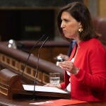 El Congreso debate la comisión de investigación del PSOE por los contratos de emergencia en pandemia