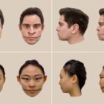 Imágenes generadas por computadora de las distorsiones de un rostro masculino (arriba) y un rostro femenino (abajo), tal como las percibió el paciente en el estudio. 