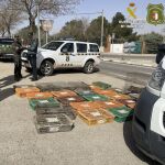 Conejos capturados ilegalmente por una persona detenida en El Toboso (Toledo)