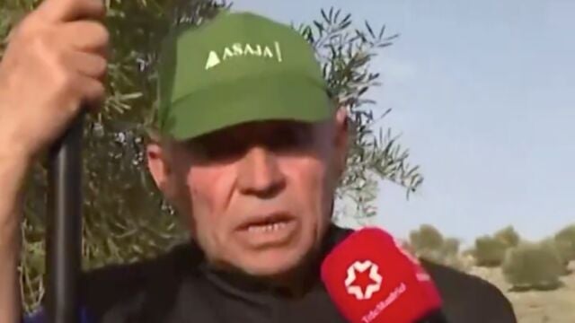 El enfado de un agricultor al que le robaron 17.000 kilos de aceitunas