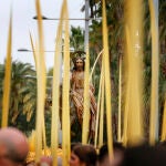 Elche celebra su procesión del Domingo de Ramos