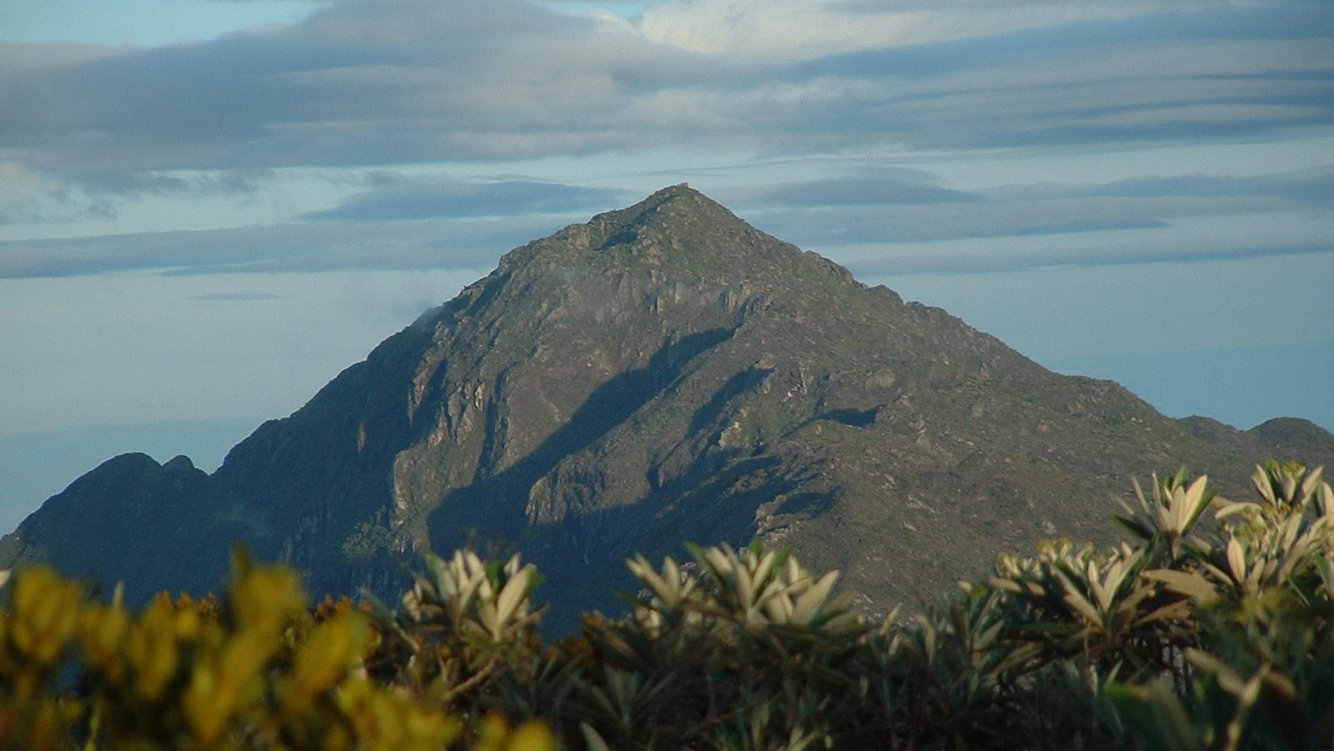 El pico Naiguatá es el más elevado de la Cordillera de la Costa. Se encuentra ubicado en la ciudad de Caracas, Venezuela.
