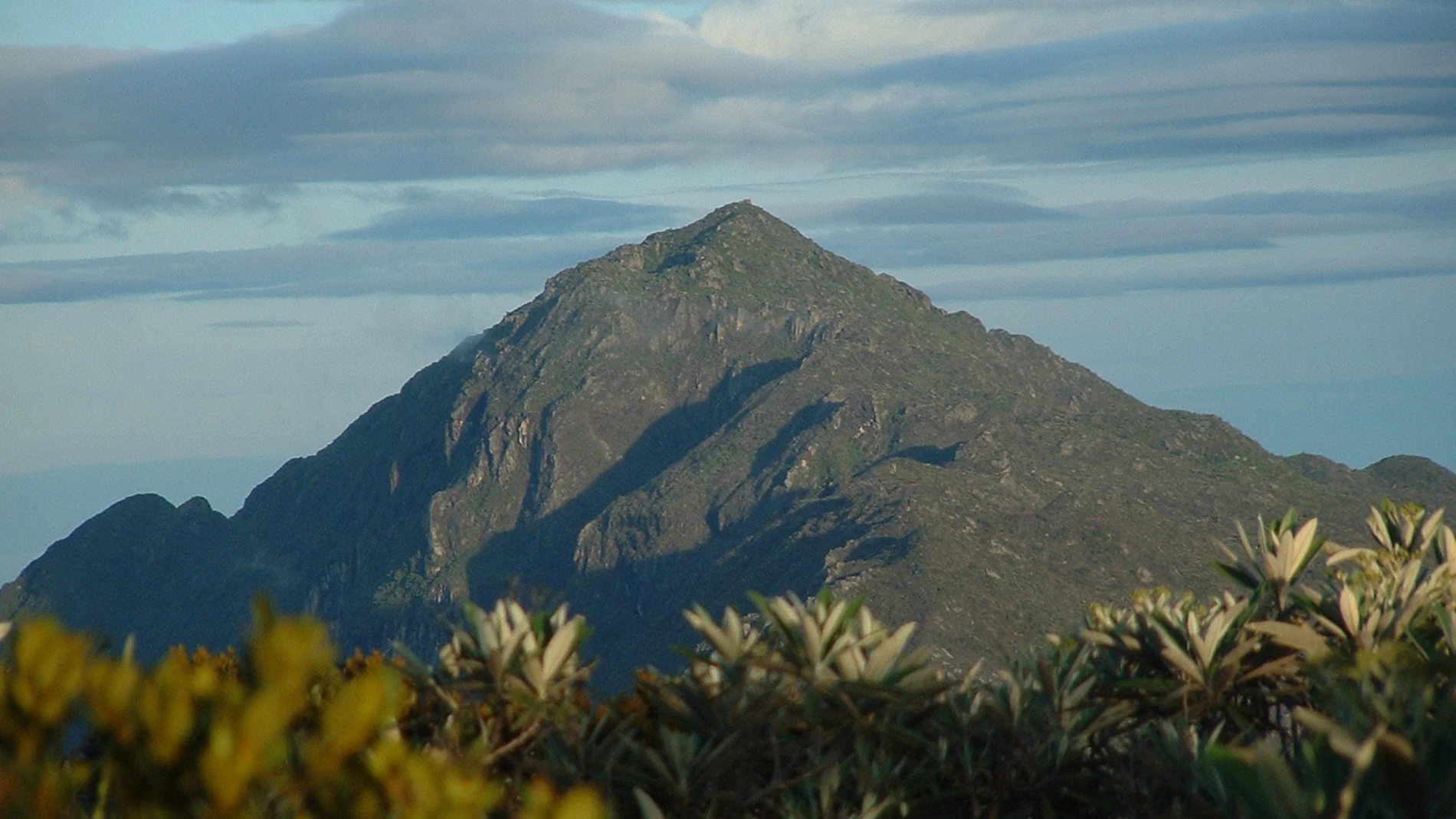 El pico Naiguatá es el más elevado de la Cordillera de la Costa. Se encuentra ubicado en la ciudad de Caracas, Venezuela. 