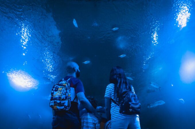 Una familia en el túnel de los tiburones del Oceanogràfic