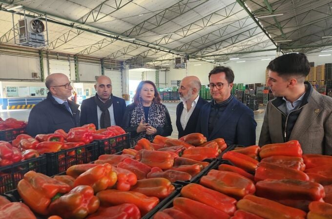 Carmen Crespo, consejera de Agricultura de la Junta de Andalucía, en una visita al sector hortofrutícola. JUNTA 