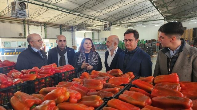 Carmen Crespo, consejera de Agricultura de la Junta de Andalucía, en una visita al sector hortofrutícola. JUNTA 