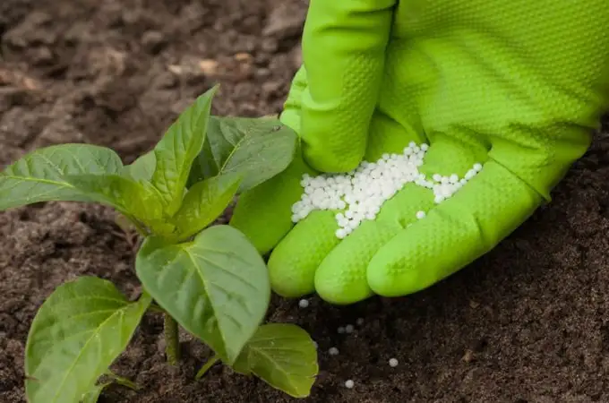 Descubierta en Marruecos una red que utilizaba los fertilizantes para el blanqueamiento de capitales 