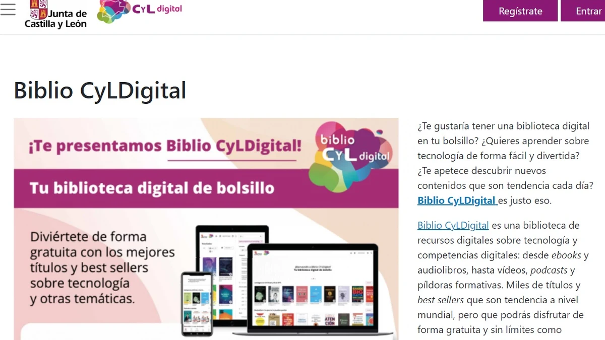La biblioteca online gratuita se abre paso con fuerza entre los castellanos y leoneses