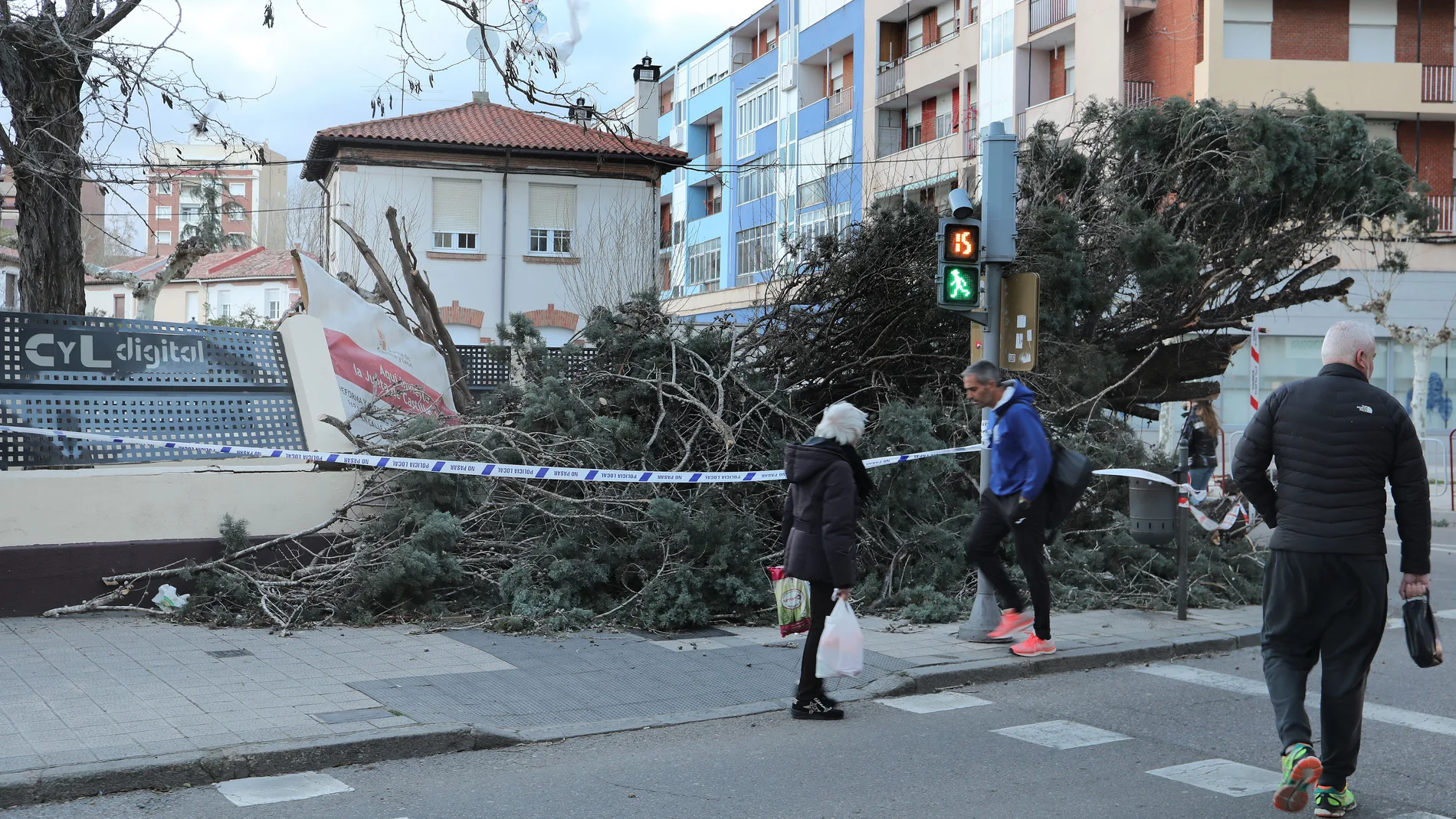 Efectos de las fuertes rachas de viento en Palencia