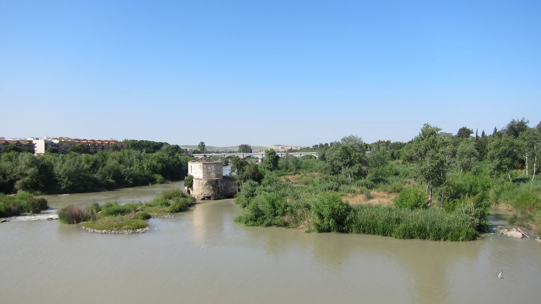  Vista del río Guadalquivir desde el Puente Romano, con los puentes de San Rafael y de Andalucía al fondo, en enero de este año 2024